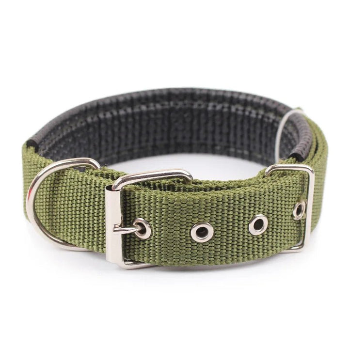 Close-up of a high-quality, adjustable black nylon dog collar, showcasing durable stitching & secure clasp.