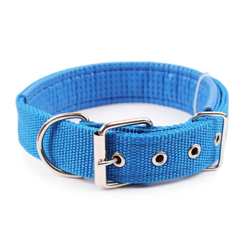Nylon dog collar in bright orange, featuring an adjustable design for a comfortable and secure fit.