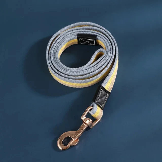 Durable black nylon dog leash with quick-release clasp for secure pet walking & training