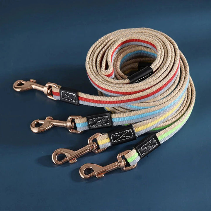 Unisex blue nylon dog leash, heavy-duty and all-weather for active dog walks
