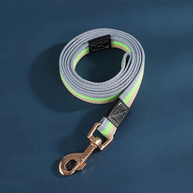 Heavy-duty nylon dog leash in orange, quick-release clasp for secure & active dogs