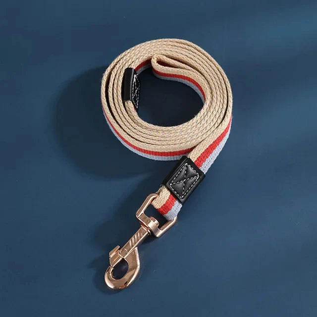 Purple durable nylon dog leash, versatile for pet training, walking, and outdoor use