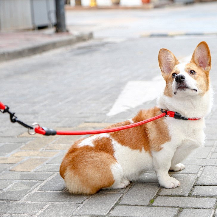Comfort fit adjustable nylon dog collar with quick release for pet training