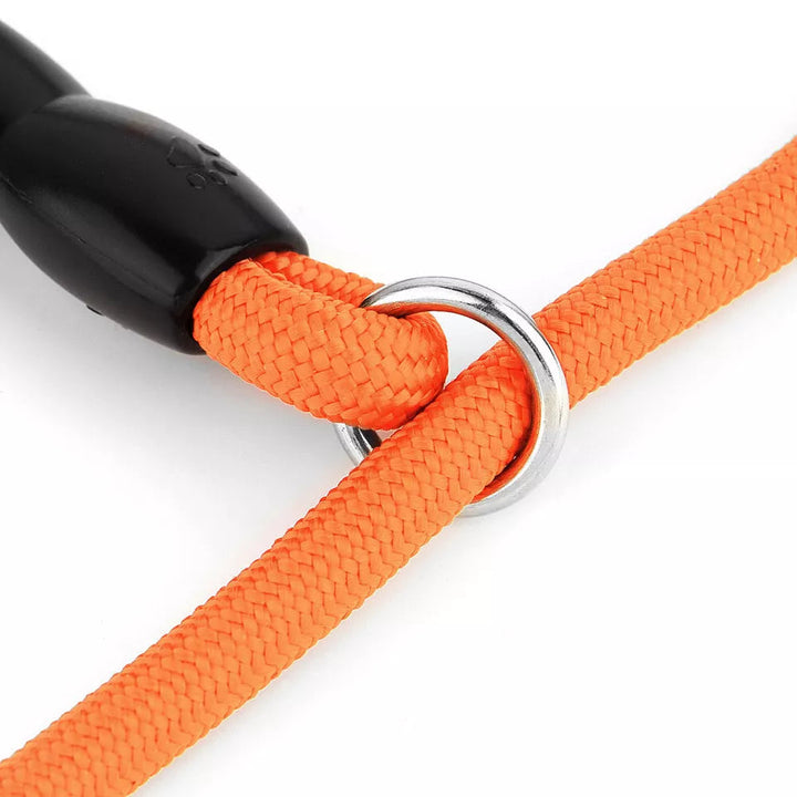 Unisex pet training collar, black nylon, adjustable for a perfect fit for dogs
