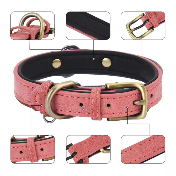 Close-up of premium leather dog collar with strong metal hardware, outdoor gear