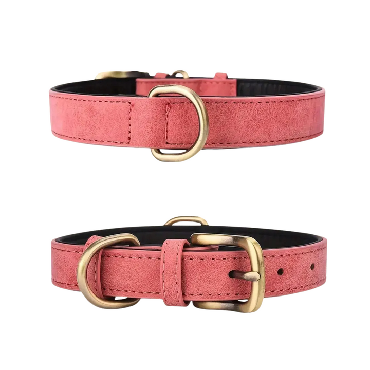High-quality leather dog collar, adjustable design for all dog sizes, durable pet gear