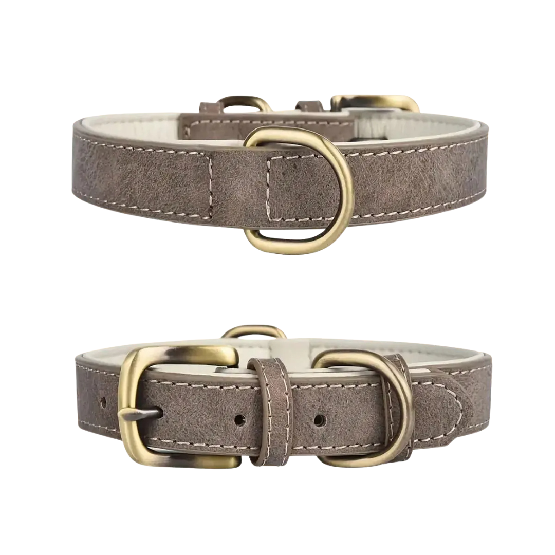 Elegant brown leather canine collar, adjustable for security, classic outdoor accessory