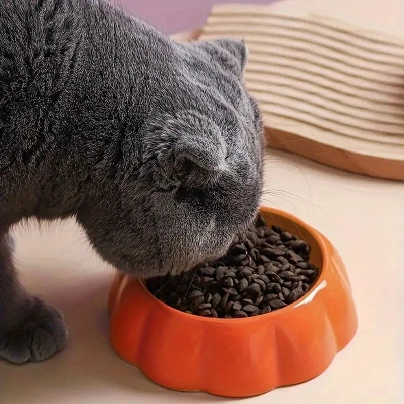 Odor-free ceramic pet bowl with charming fruit design for small animals, secure base