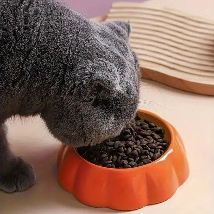 Odor-free ceramic pet bowl with charming fruit design for small animals, secure base