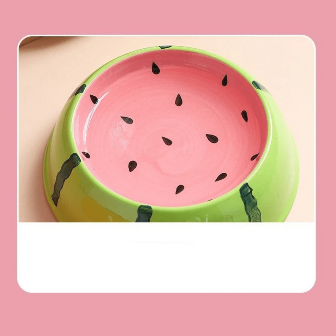 Colorful fruit ceramic pet bowl, designed for cats & small dogs, durable & hygienic