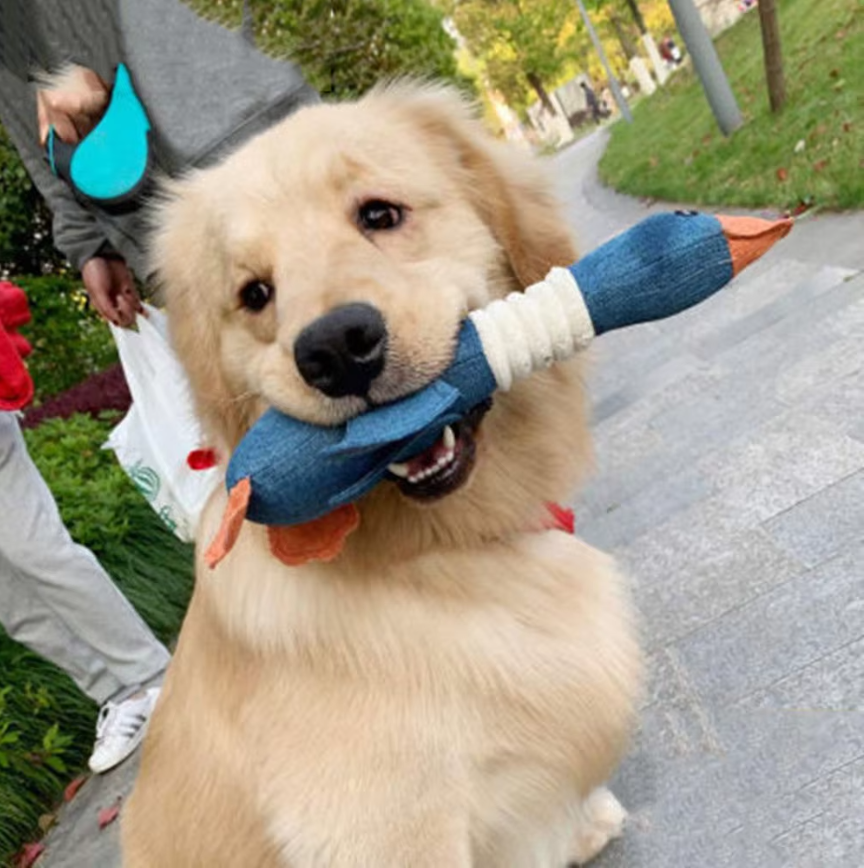 Durable Chew and Tug Dog Toy for active dogs, perfect for playtime and pet care
