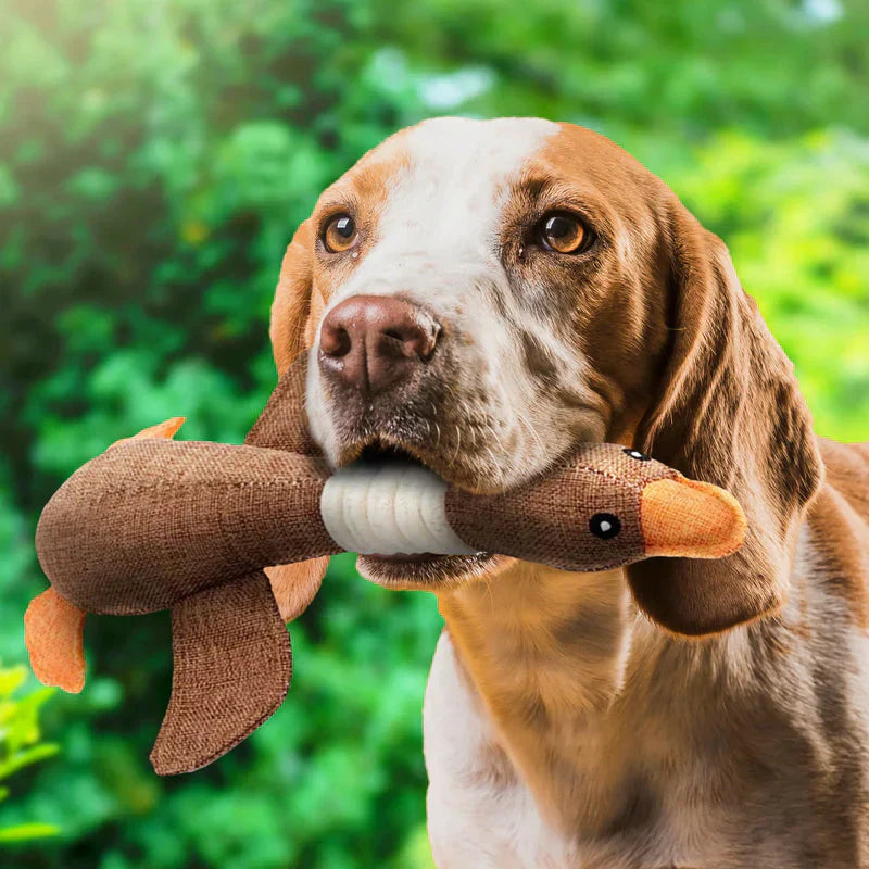 Pet supply tough tug toy for dogs, ideal for interactive play and dental health