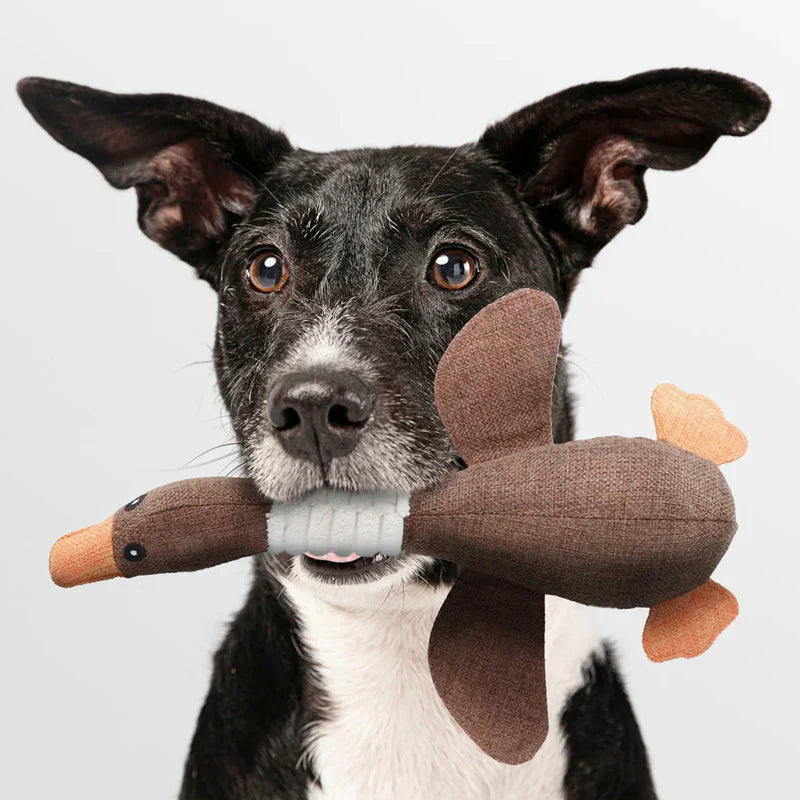 Heavy-duty dog toy for chewing and tugging, essential dog supply for active pets