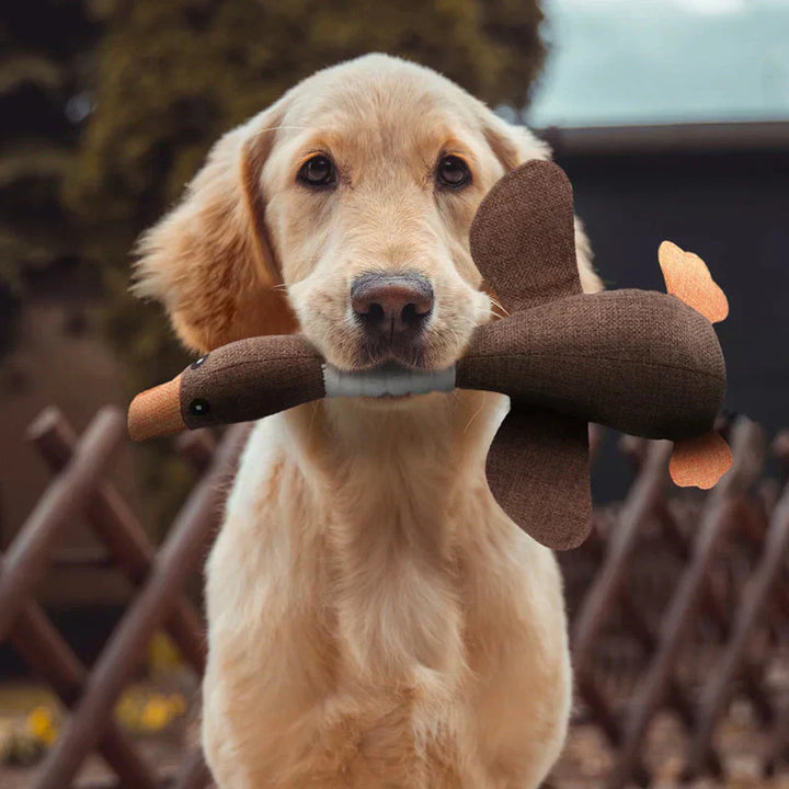 Robust chew toy for dogs, a durable pet supply for hours of fun and exercise