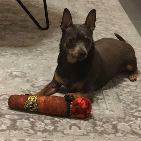 Pack of durable cigar-shaped plush squeaky dog toys for multiple pets or extended play