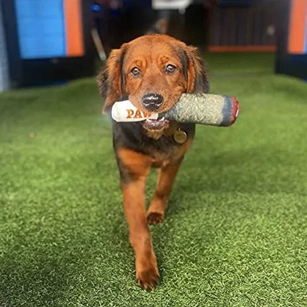 Close-up of a chew-resistant cigar plush dog toy with squeaker, promoting oral health
