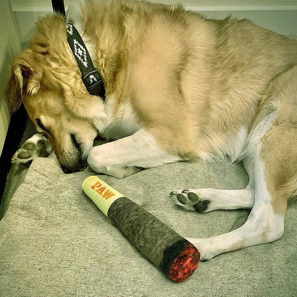 Dog chew toy: durable cigar design plush with squeaker, excellent for training and fun