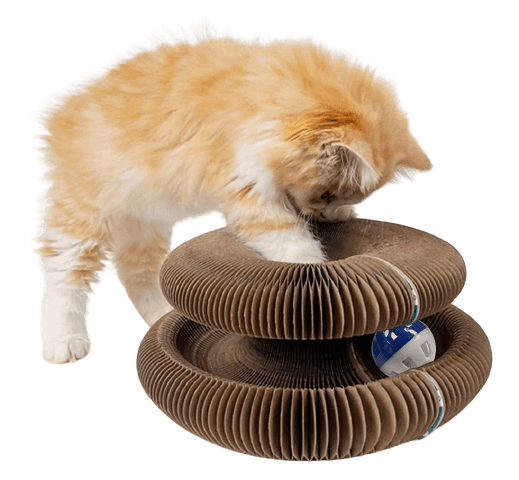 Cat scratcher of moldable corrugated board, a durable furniture protector and interactive pet toy.