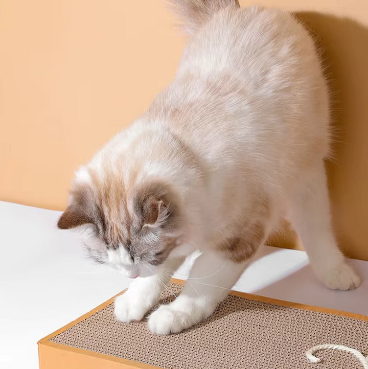 Durable corrugated cat scratching board with play motif, protecting furniture from feline claws.