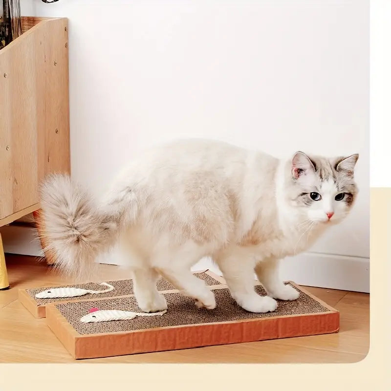 Cat scratching mat featuring a fun play design, essential petcare for happy cats and protected homes.