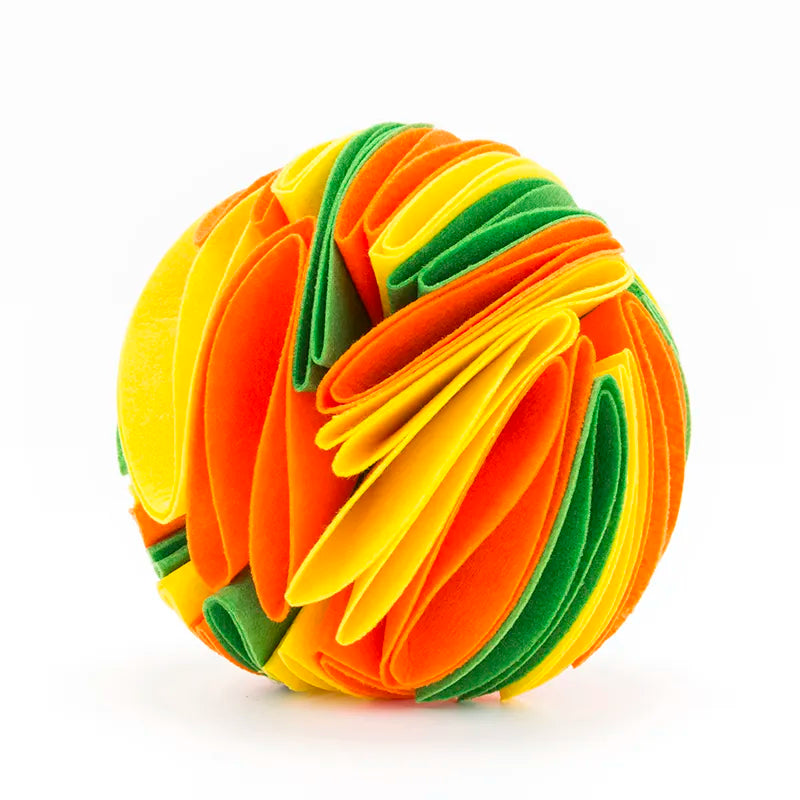 Dog enjoying playing with a durable canvas chew ball, a fun and interactive pet toy.