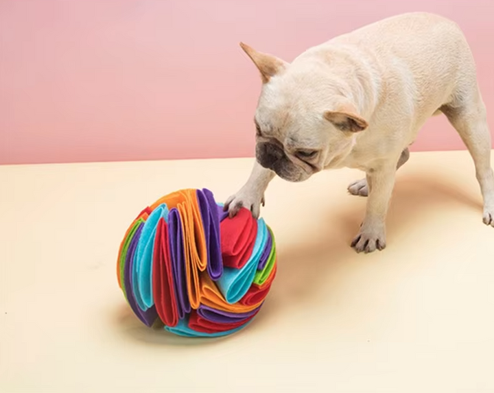 Canvas chew ball for dogs, an enrichment toy for playtime, supporting oral hygiene.