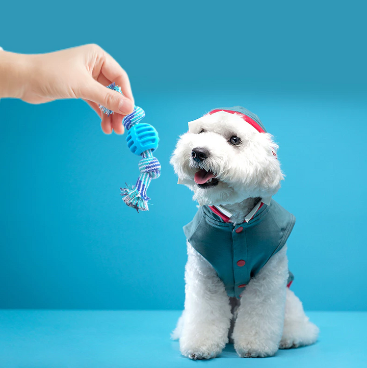 Durable dog chew rope with red teething ball for dental health and interactive pet play