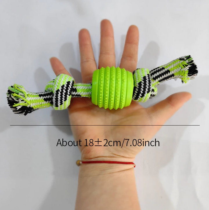 Dental health dog toy featuring a robust chew rope and an integrated teething ball