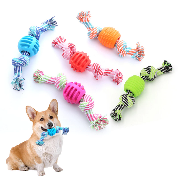 Playful dog toy: braided chew rope with a red knobby teething ball for dental benefits