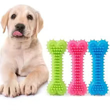 Durable dog chew toy, a robust dental bone with nubs, for pet dental health and playtime enrichment.