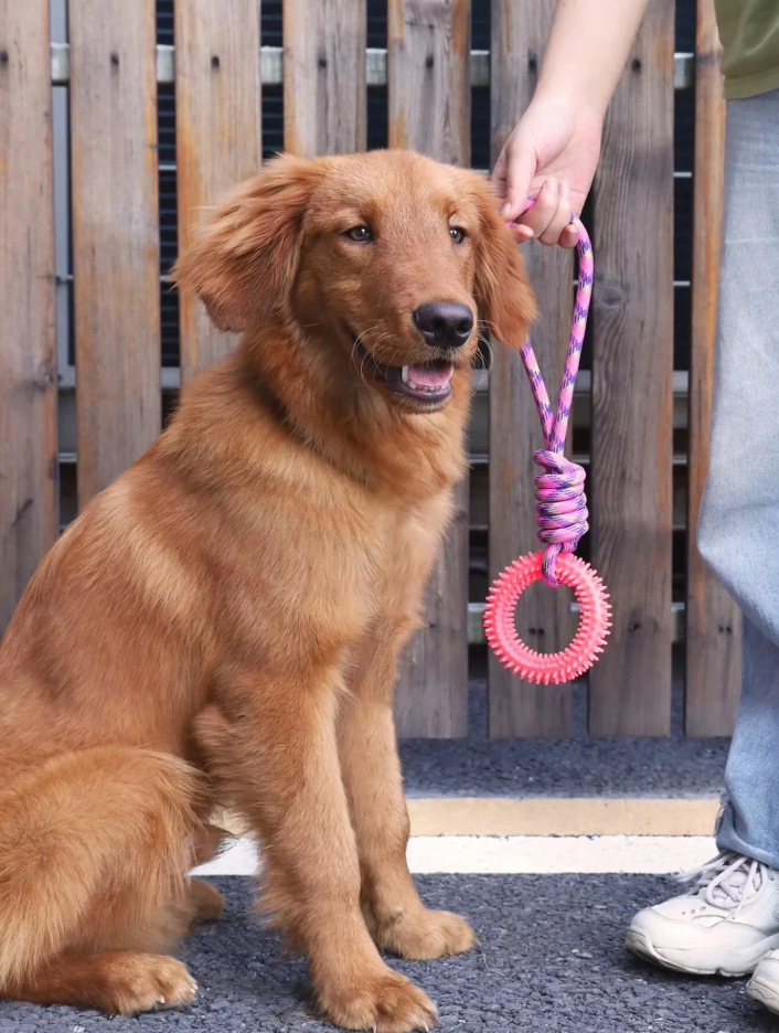 Durable pet supplies: dog chew toy with teething ring and tug rope for playtime