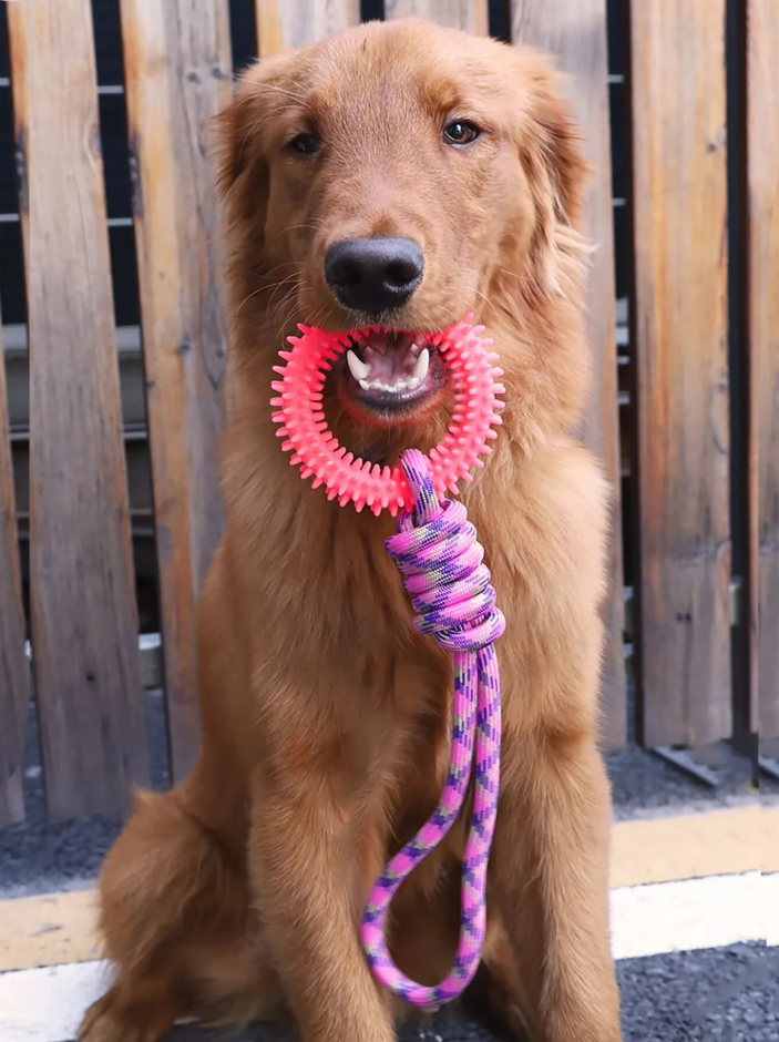 Close view of durable dog chew toy components: blue teething ring and yellow rope