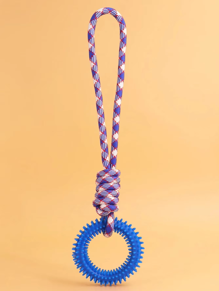 Interactive pet accessory: robust dog chew toy with blue teething ring and rope