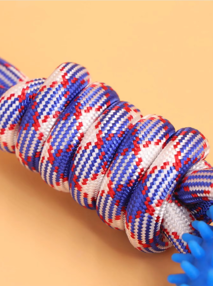 Close-up of a blue teething ring on a durable dog chew toy, promoting dental health