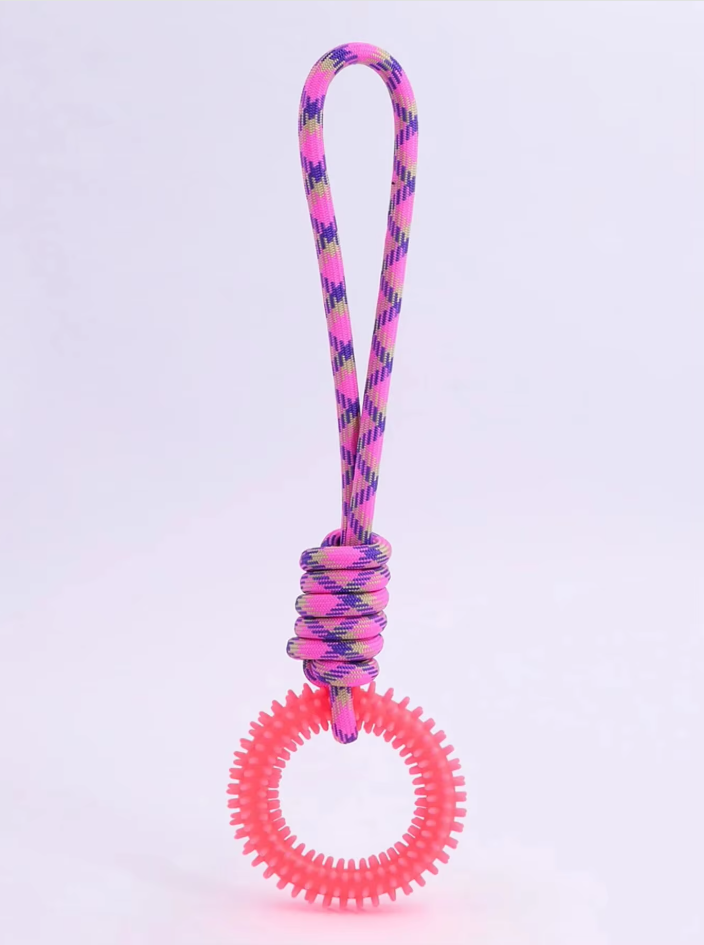 Pet accessory: durable dog chew toy with a blue teething ring for strong chewers