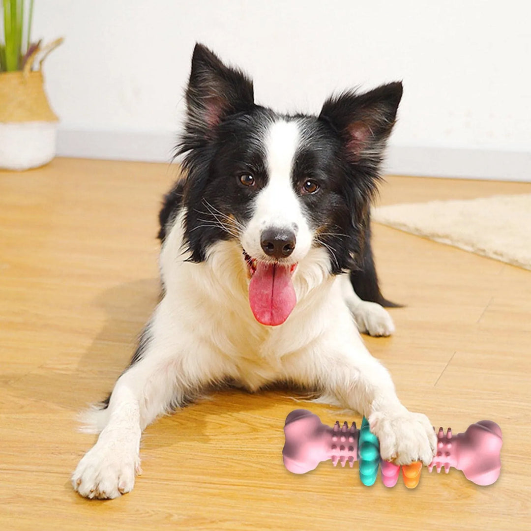 Tough rubber dog chew toy with multiple nubs, designed to clean teeth and keep dogs entertained.