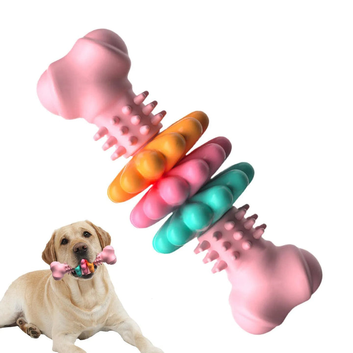 Close-up of a dog chew toy showing textured teethers, a durable pet supply for active dogs.