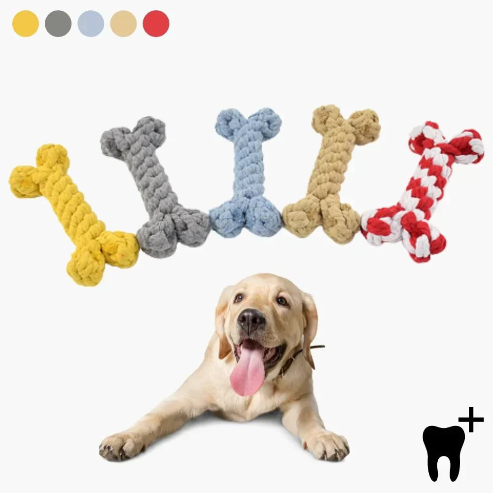 Durable dog dental chew toy for plaque removal, blue with textured nubs for oral hygiene