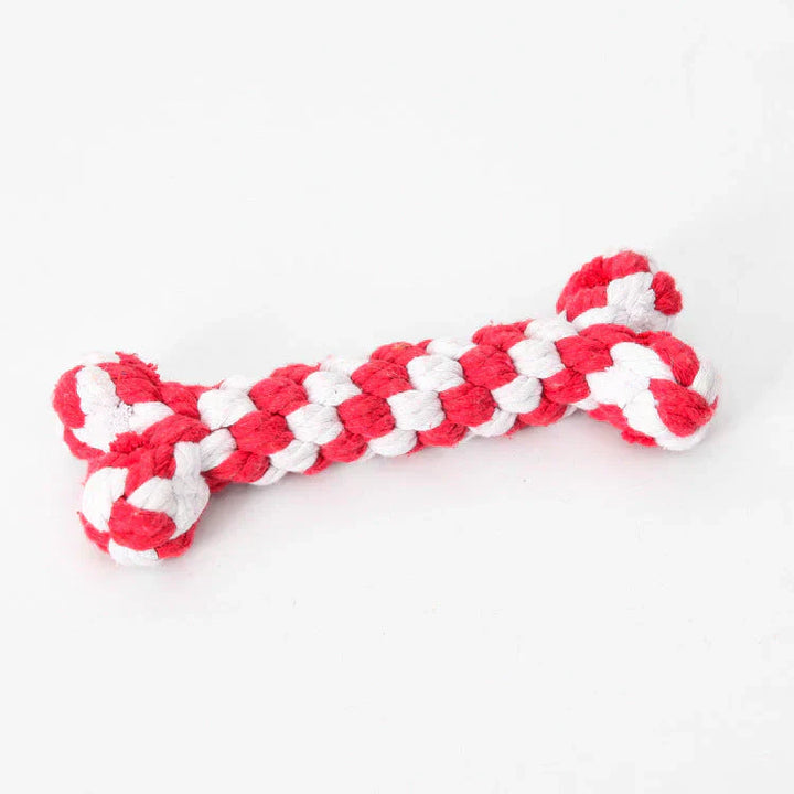 Assortment of dog dental chew toys in various colors, essential for pet oral hygiene and health