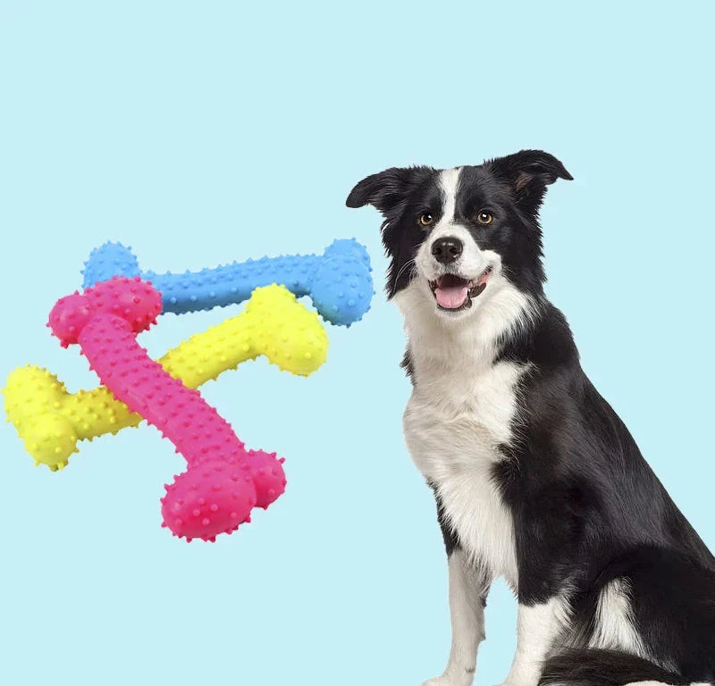 Interactive rubber dog toy designed for dental health and chewing