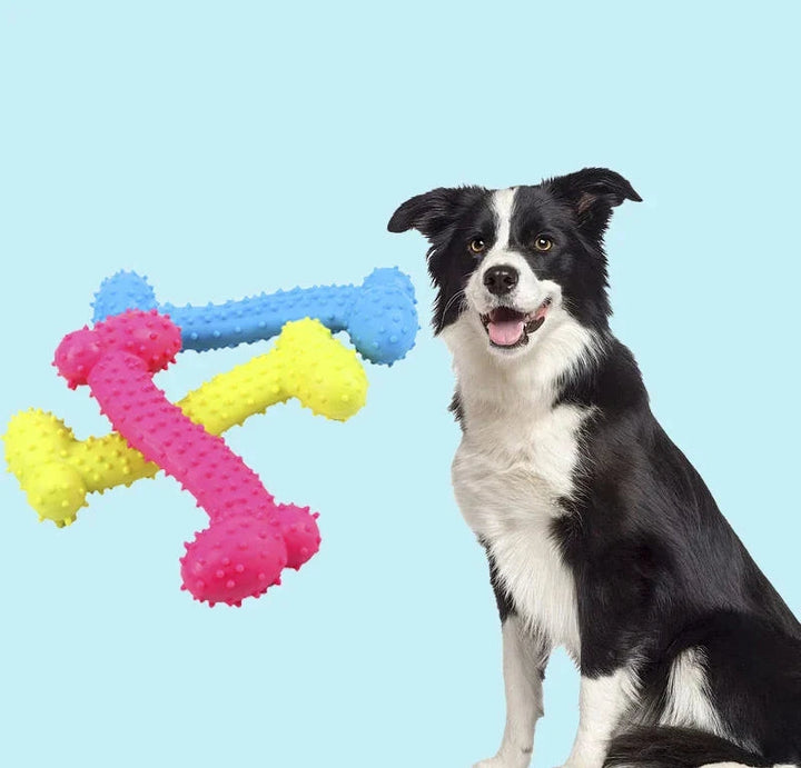 Interactive rubber dog toy designed for dental health and chewing