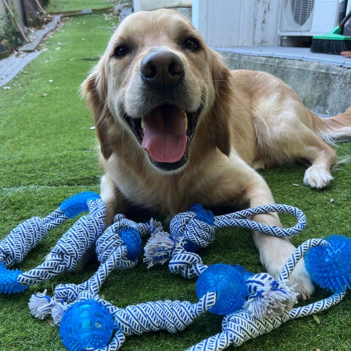 Pet Dental Toy: Rubber Ball with Rope, Promotes Dog Teeth Cleaning & Health