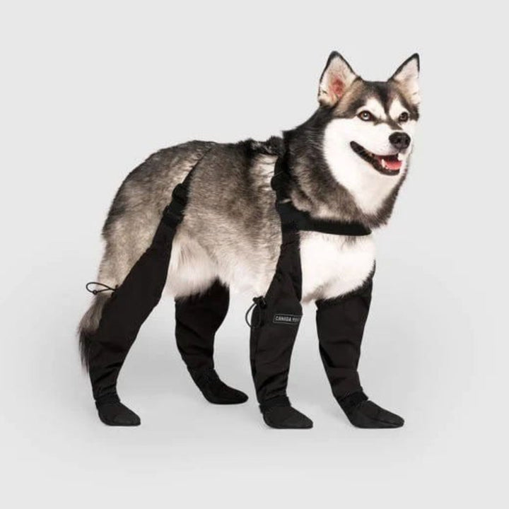 Durable dog paw protection boots for hiking & all outdoor adventures. All-weather dog shoes for pet supplies & gear.
