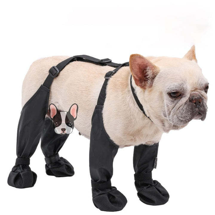 High-quality dog boots for paw protection. Durable, all-weather outdoor gear & dog shoes for adventure & hiking dogs.