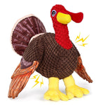 Thanksgiving Turkey