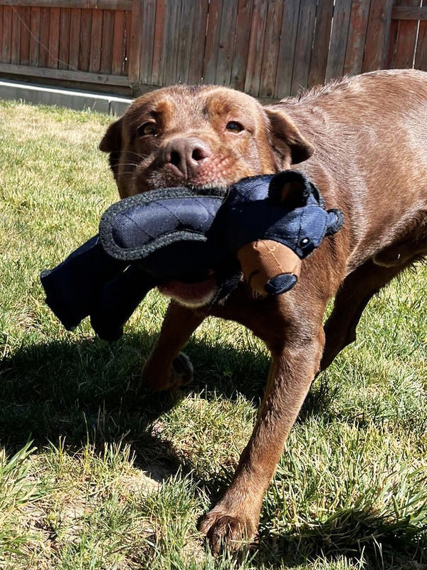 Indestructible dog toy with squeaker, perfect for heavy chewers, machine washable.
