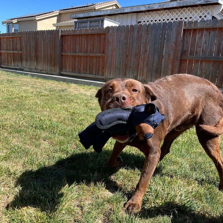 Aggressive chewer dog plush toy, grey and orange, robust and interactive.