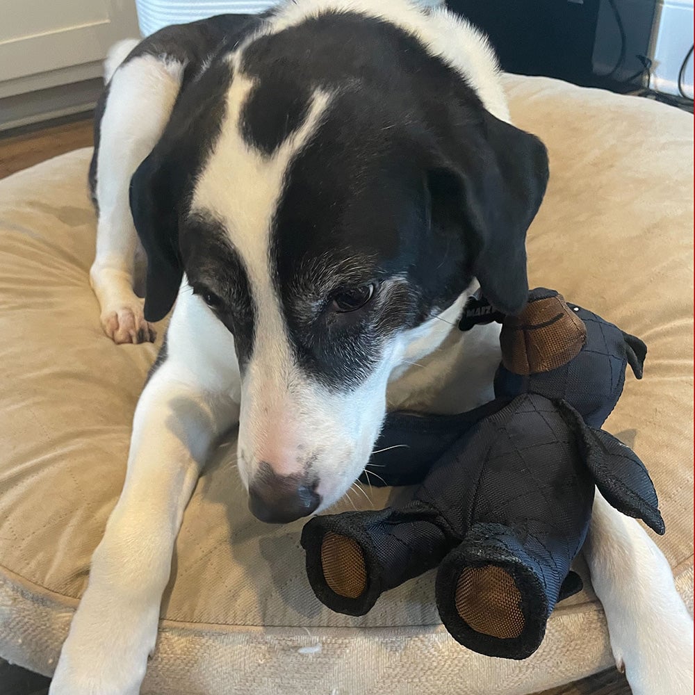Machine washable dog plush toy, chew-resistant and squeaky for active dogs.