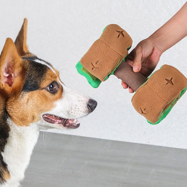 Plush dumbbell dog toy, an interactive food dispenser puzzle for mental stimulation