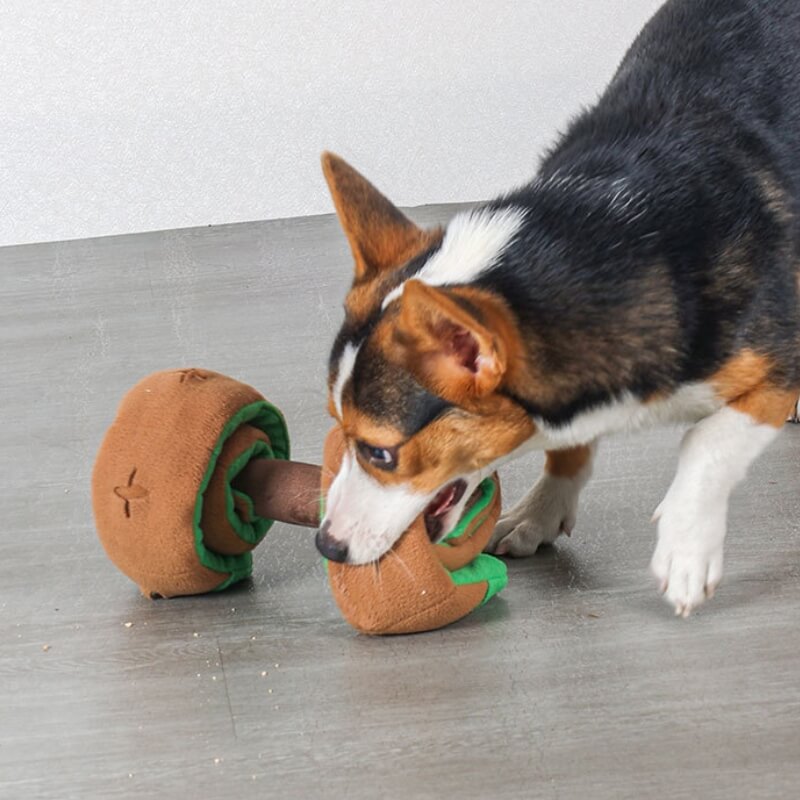 Interactive food dispensing dumbbell, a durable puzzle toy for dogs, promoting slow feeding